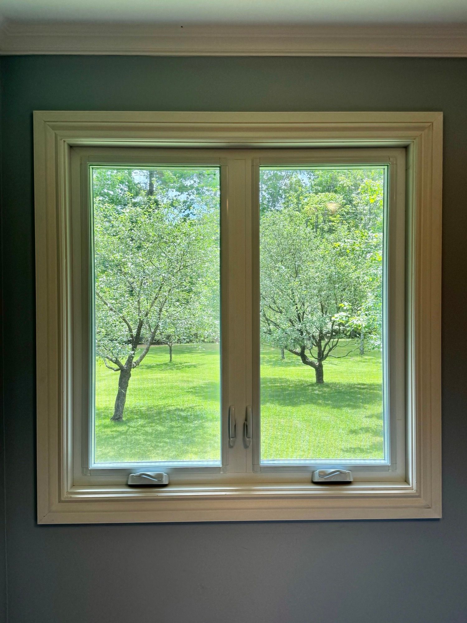 White-framed window looking out onto a green yard with trees and a sunny landscape