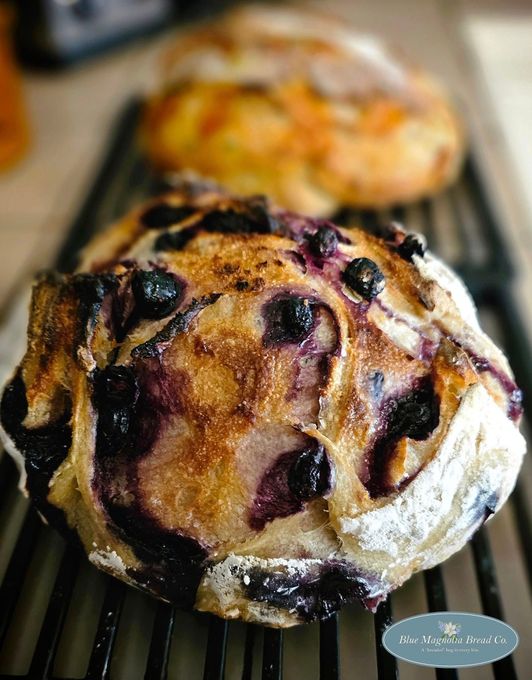 A loaf of blueberry bread is sitting on a cooling rack.