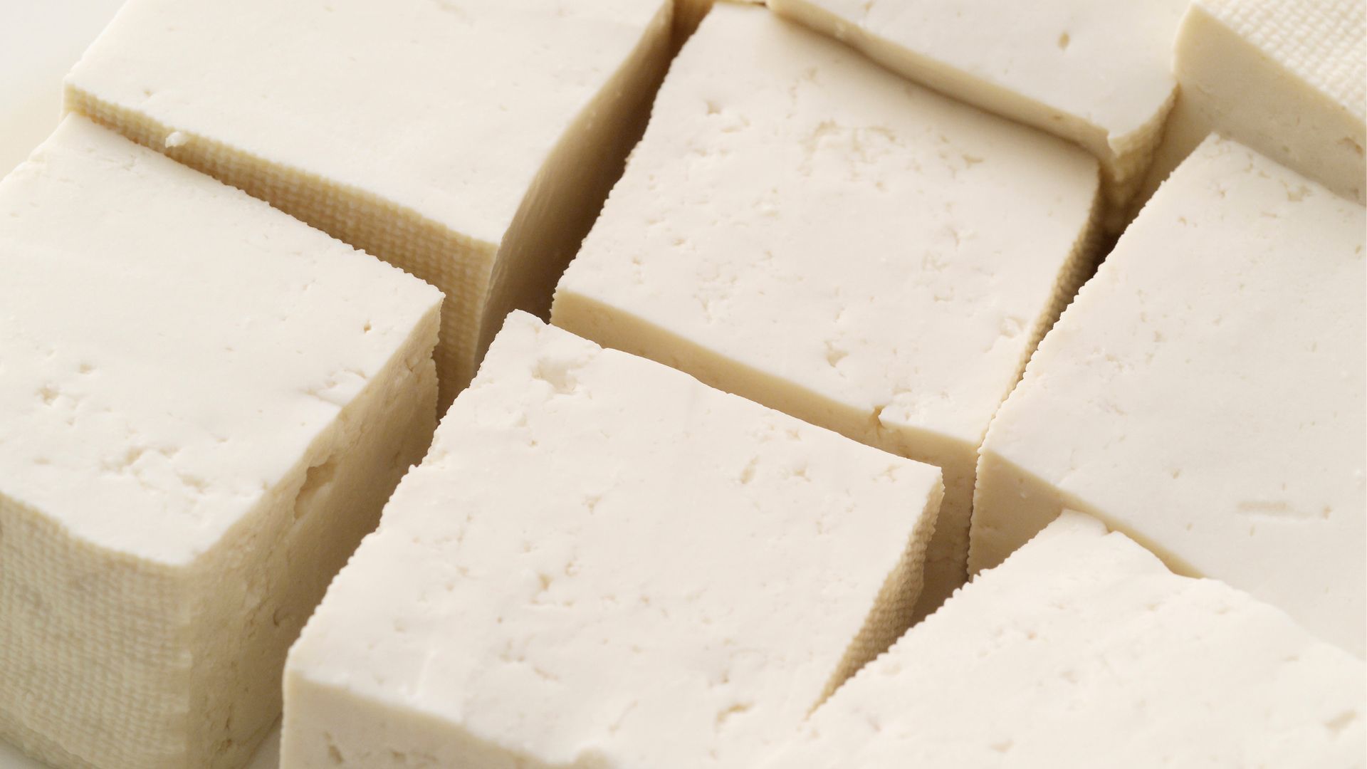 tofu manufacturer