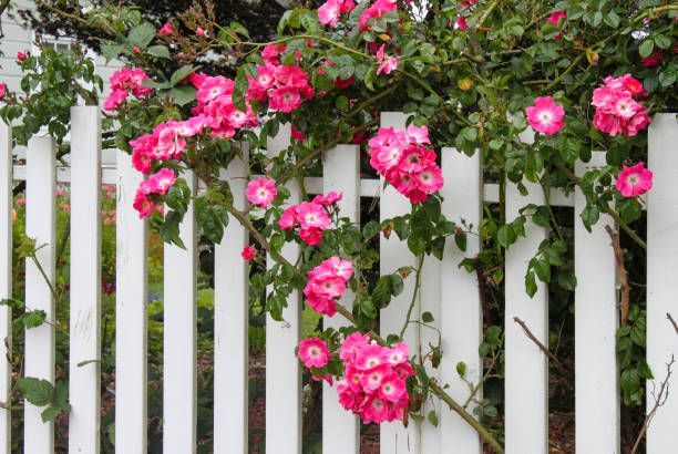 Chain Link Mesh Fence Glenorchy TAS