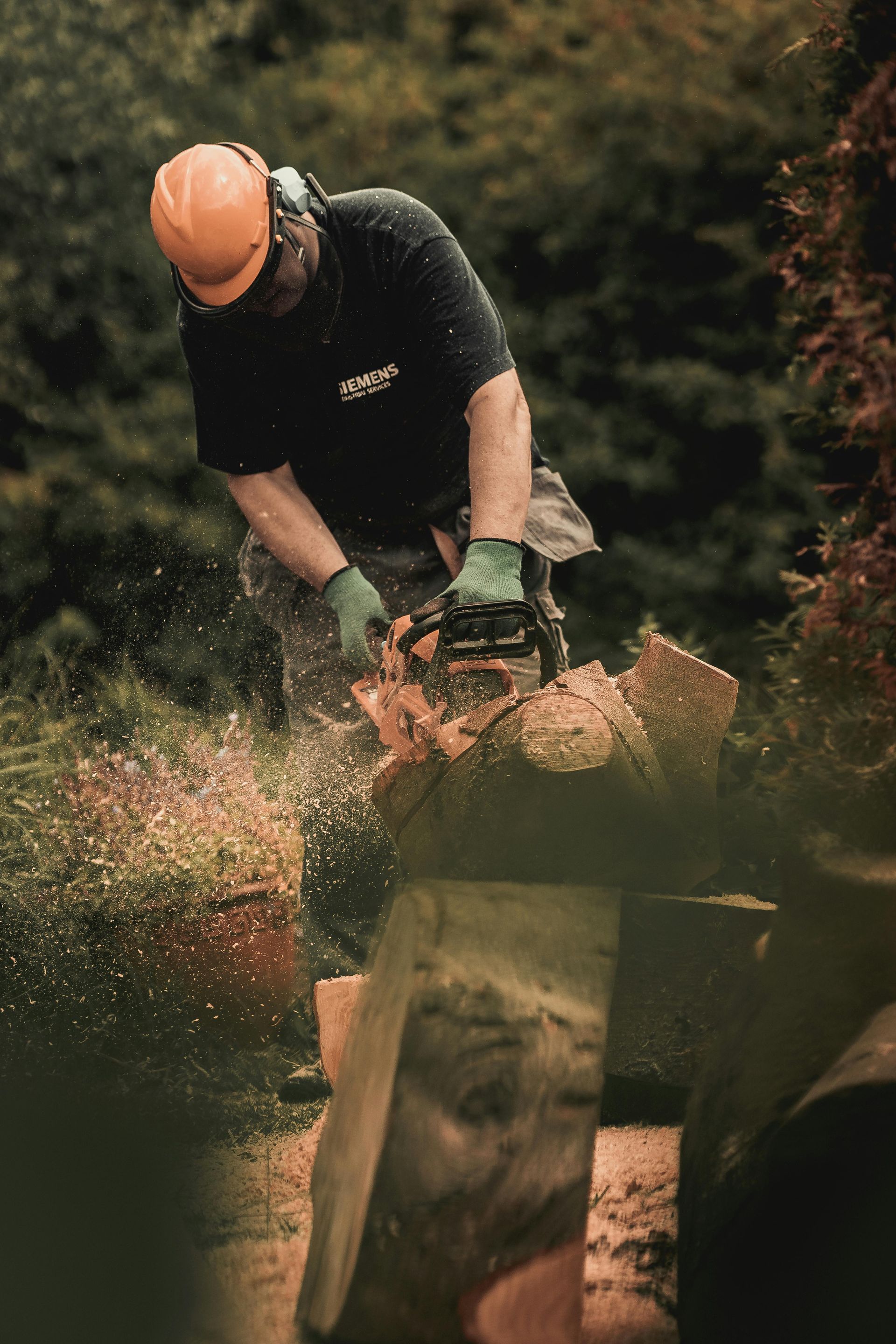 Emergency tree removal service Richmond VA storm damage response