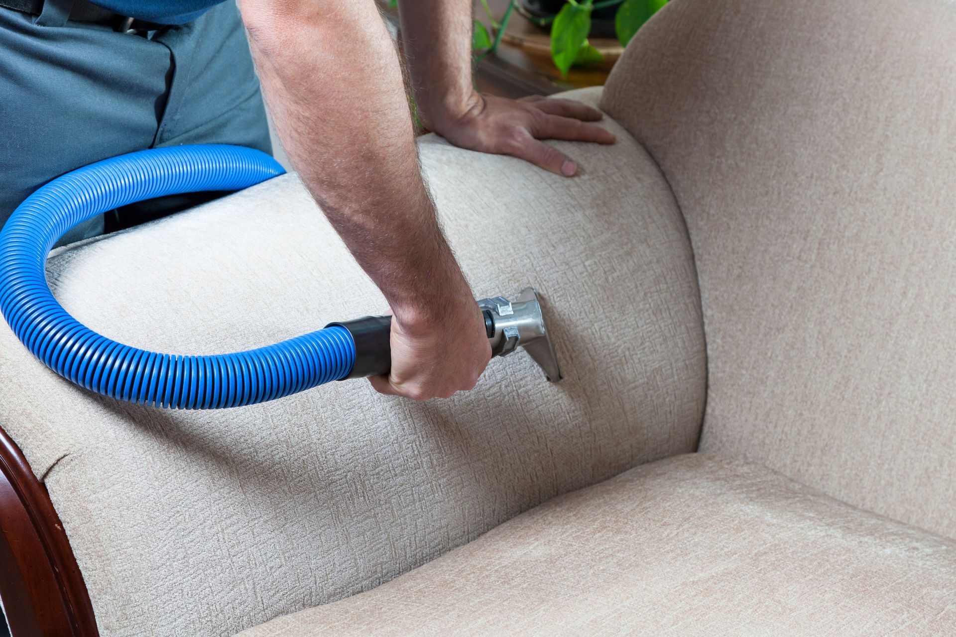 Upholstery Cleaning — Penrith, NSW — Jet Carpet Cleaning and Services