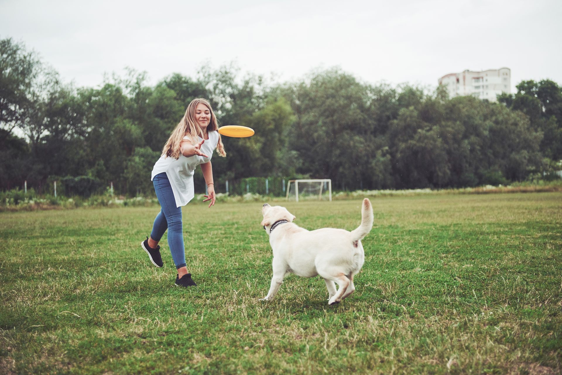 A girl is playing frisbee with her dog in a park.