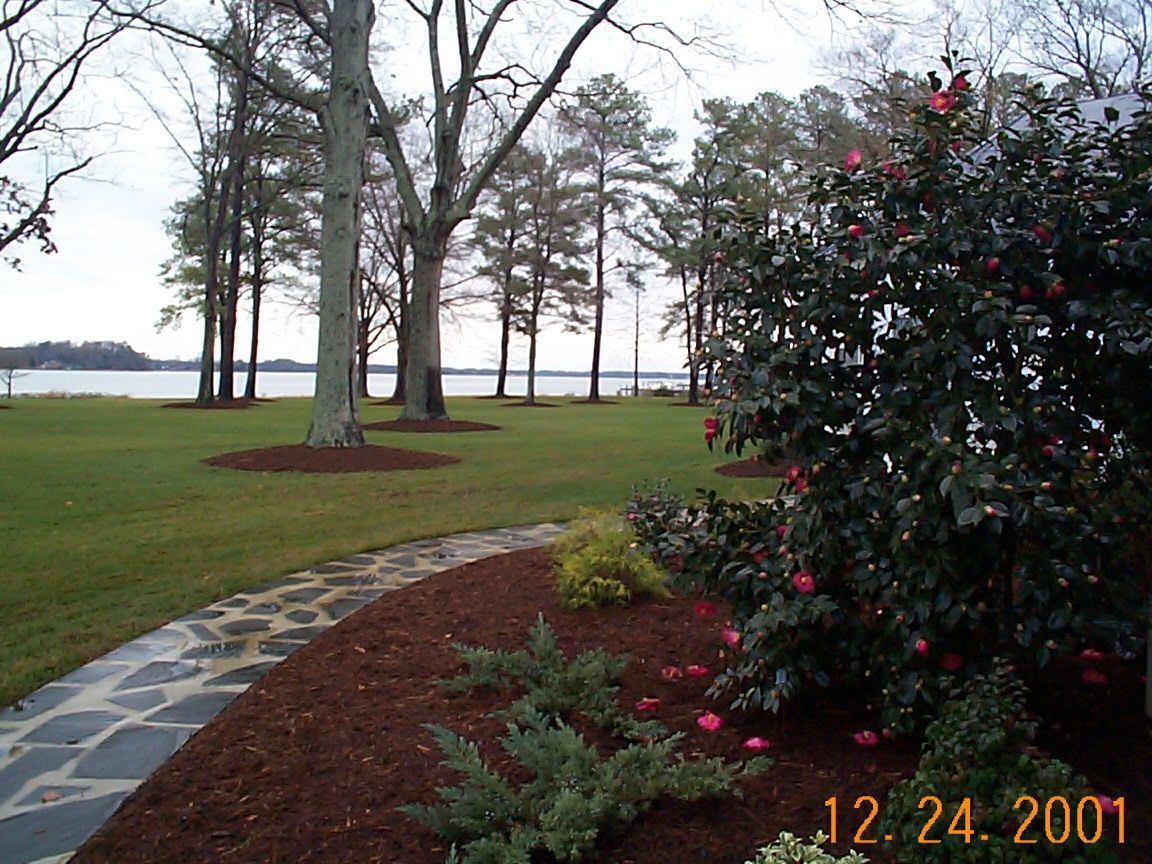Stone path leading through a manicured lawn toward a lake, with trees and a flowering bush on the right.