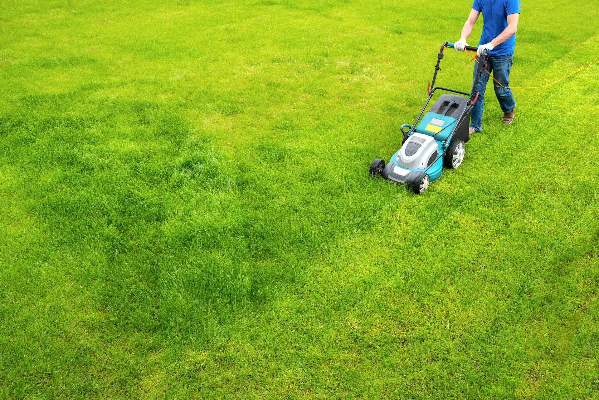 Cutting Green Grass — Cotati, CA — Harold’s Landscape