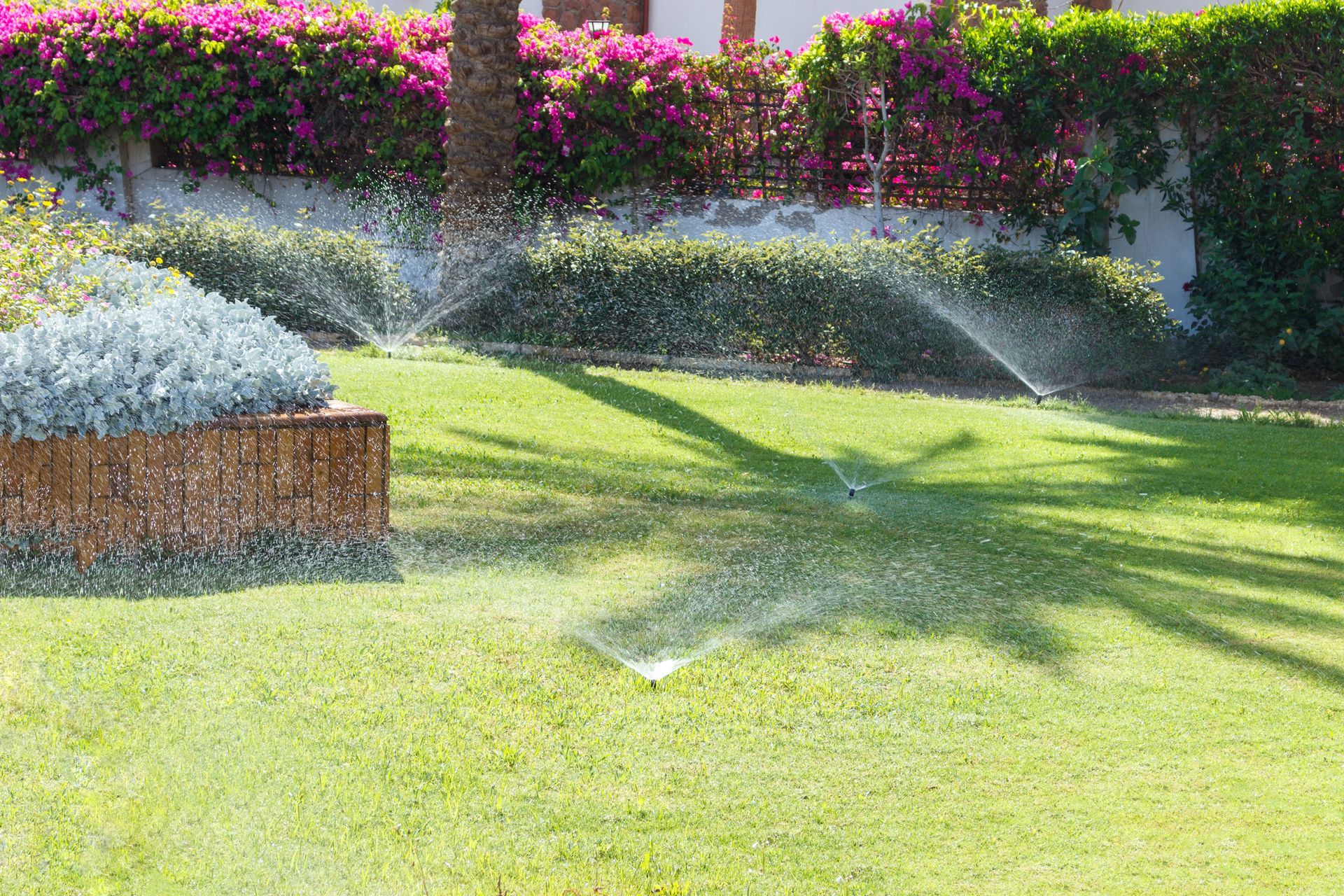 Sprinkler in Garden Watering the Lawn — Cotati, CA — Harold’s Landscape