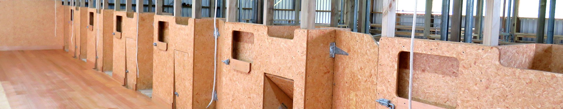 A row of wooden partitions made of oriented strand board, likely for horse stalls, in an indoor barn setting.