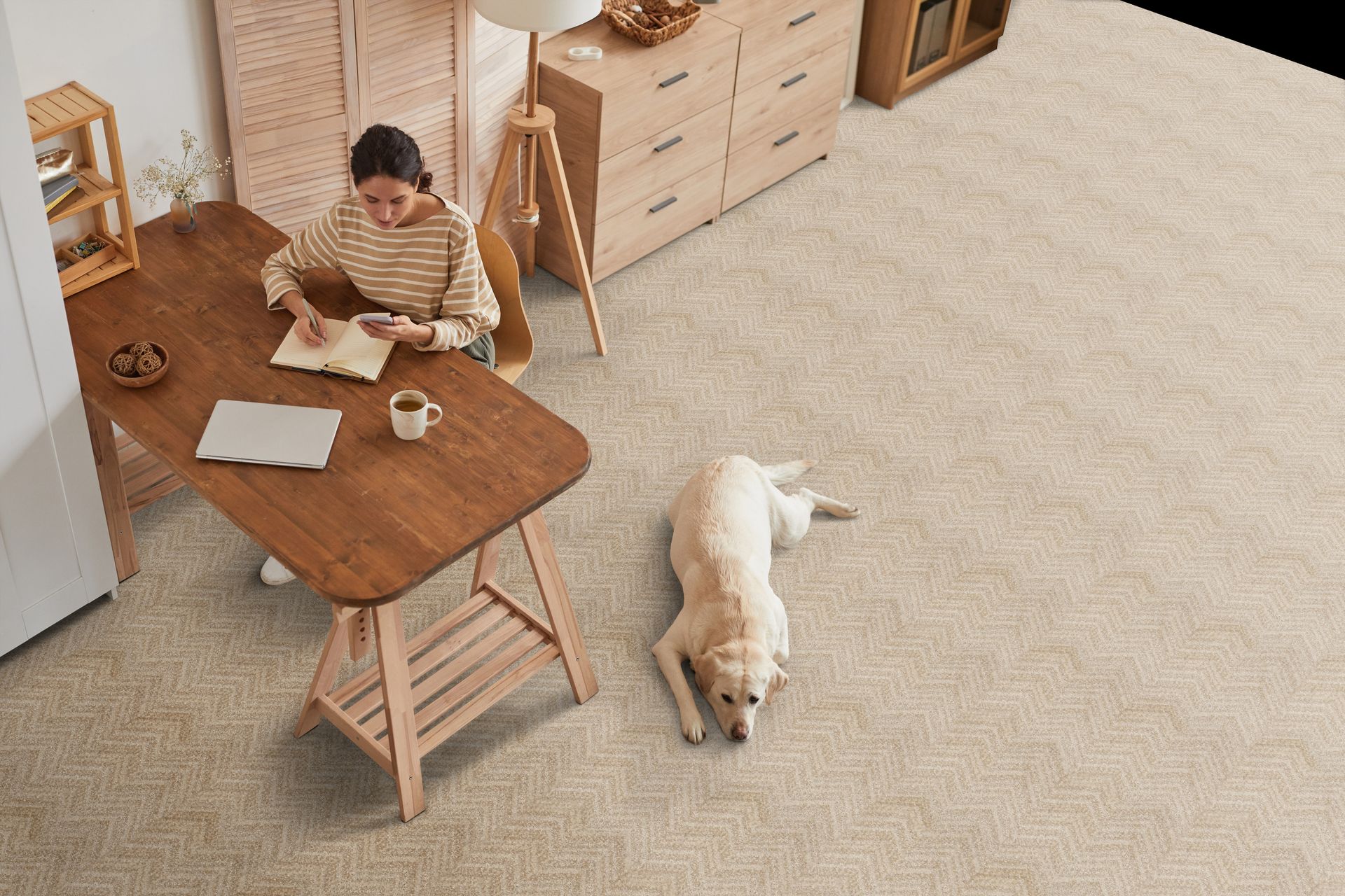 Woman at wooden desk, dog lying on carpet in a well-lit room.