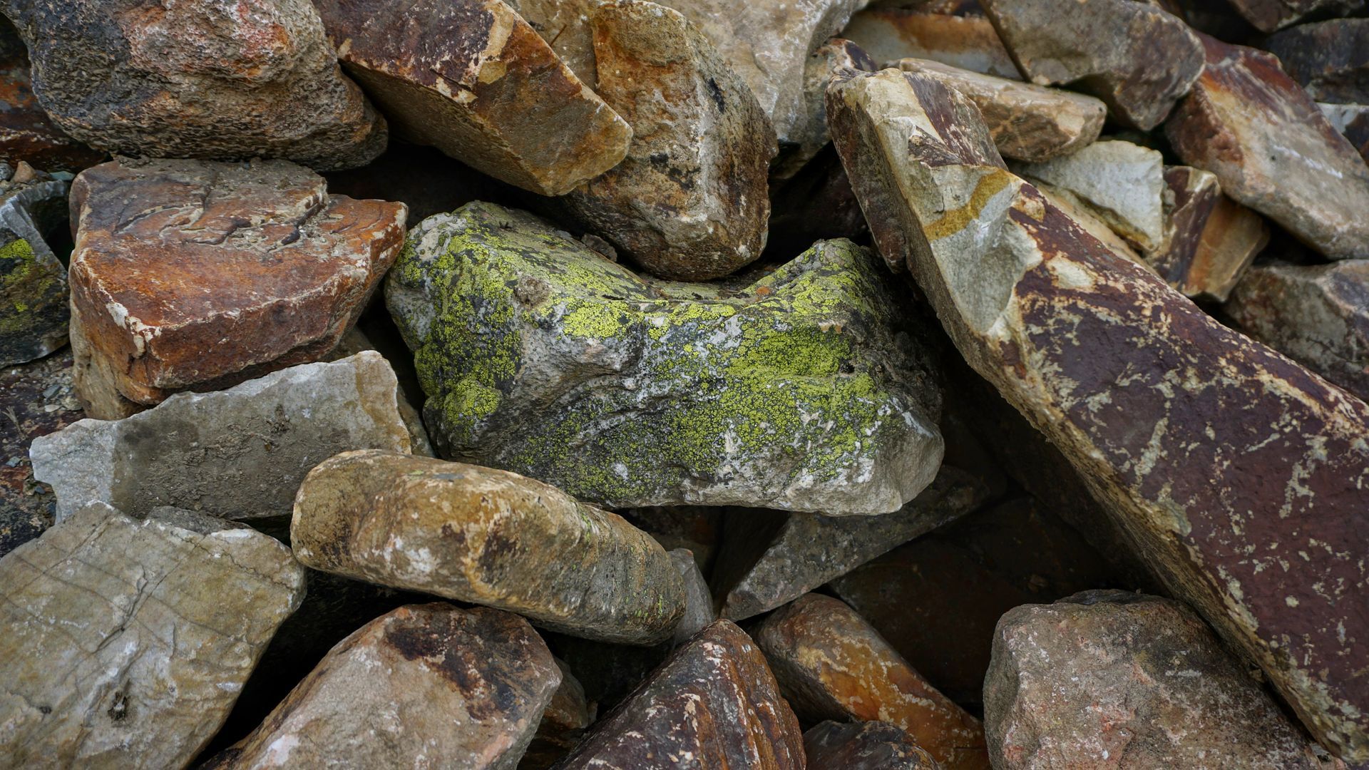 Mossy Mountain Rock
