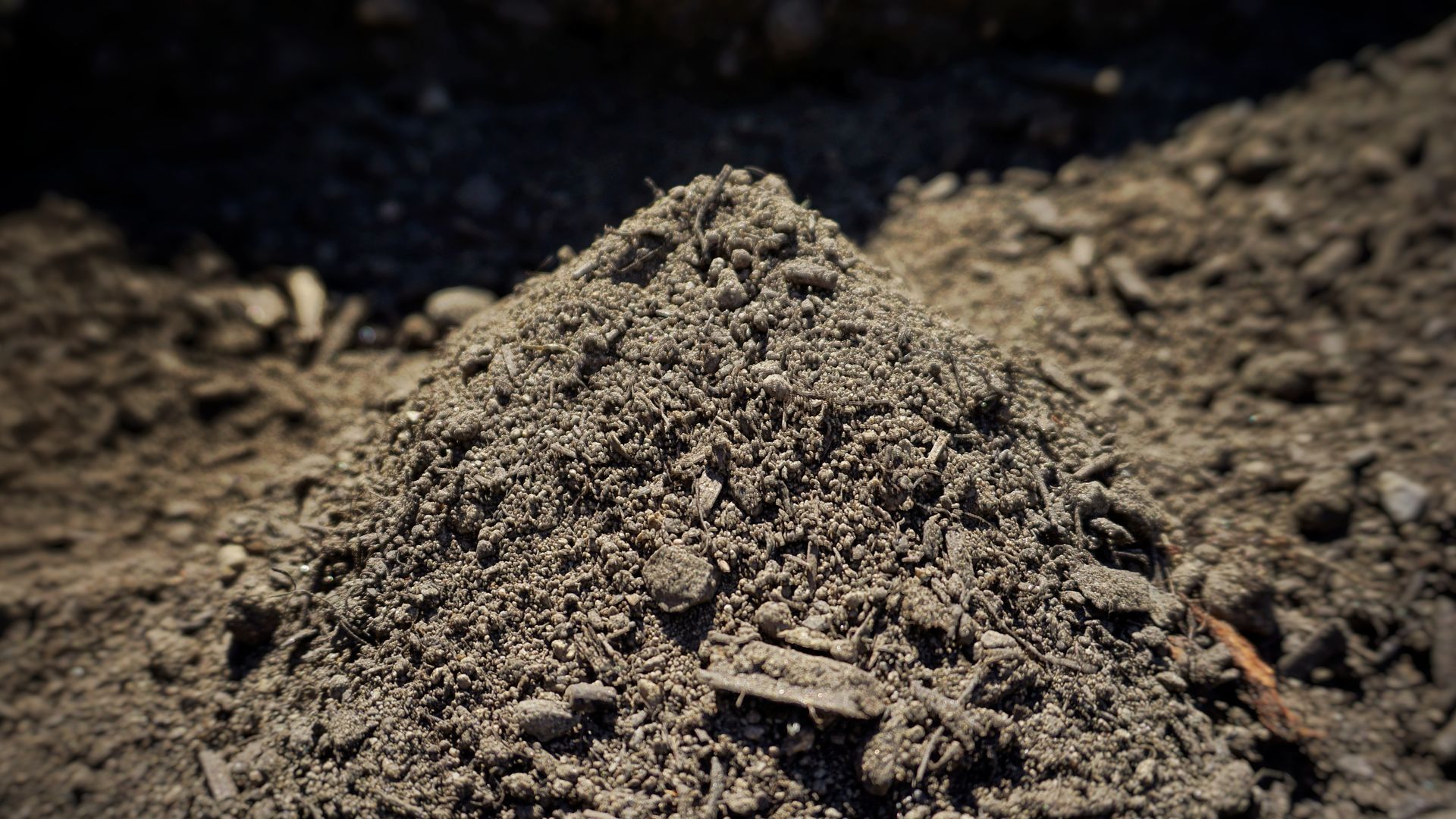 Premium Garden Soil