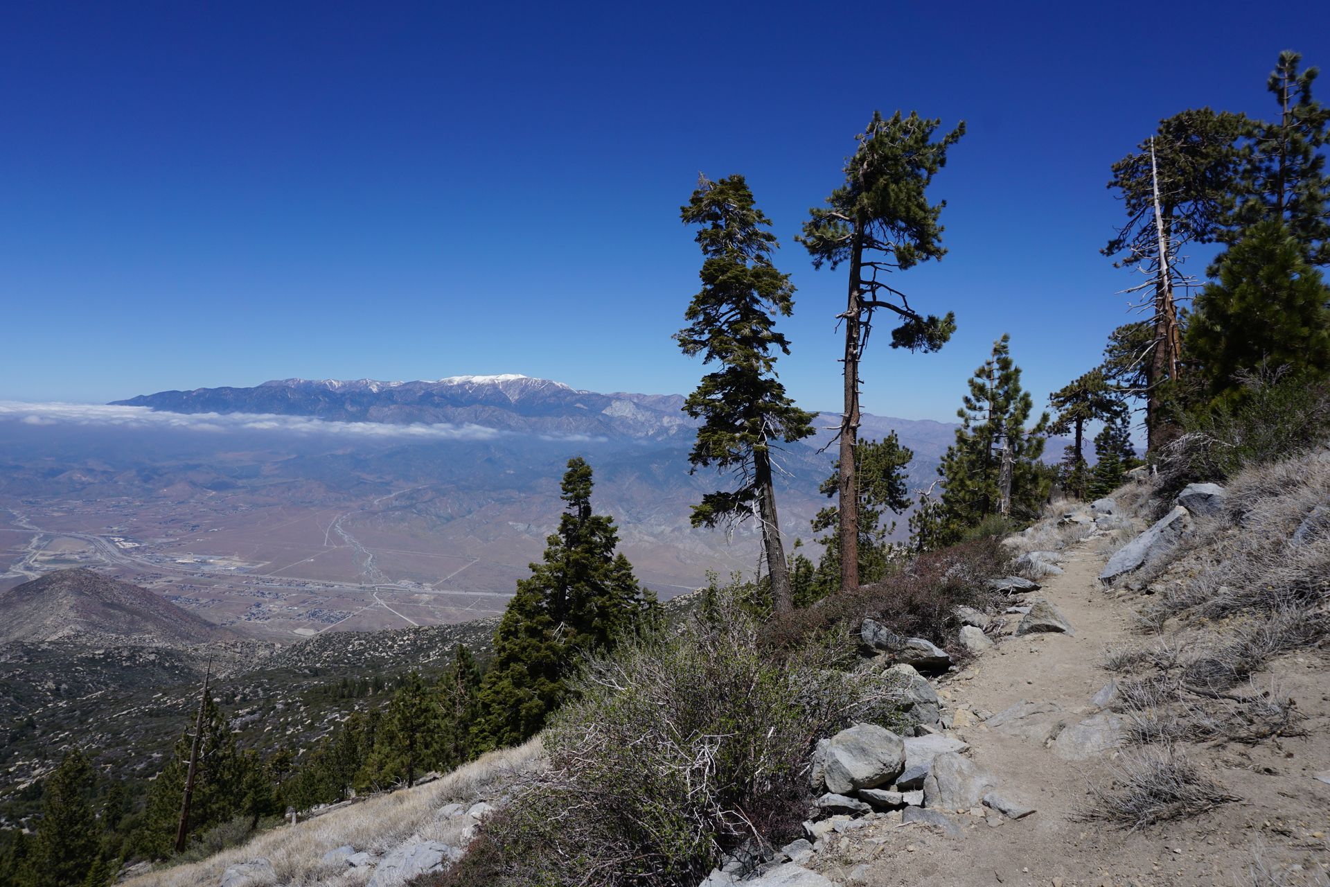 a dirt path in the mountains with trees and mountains in the background