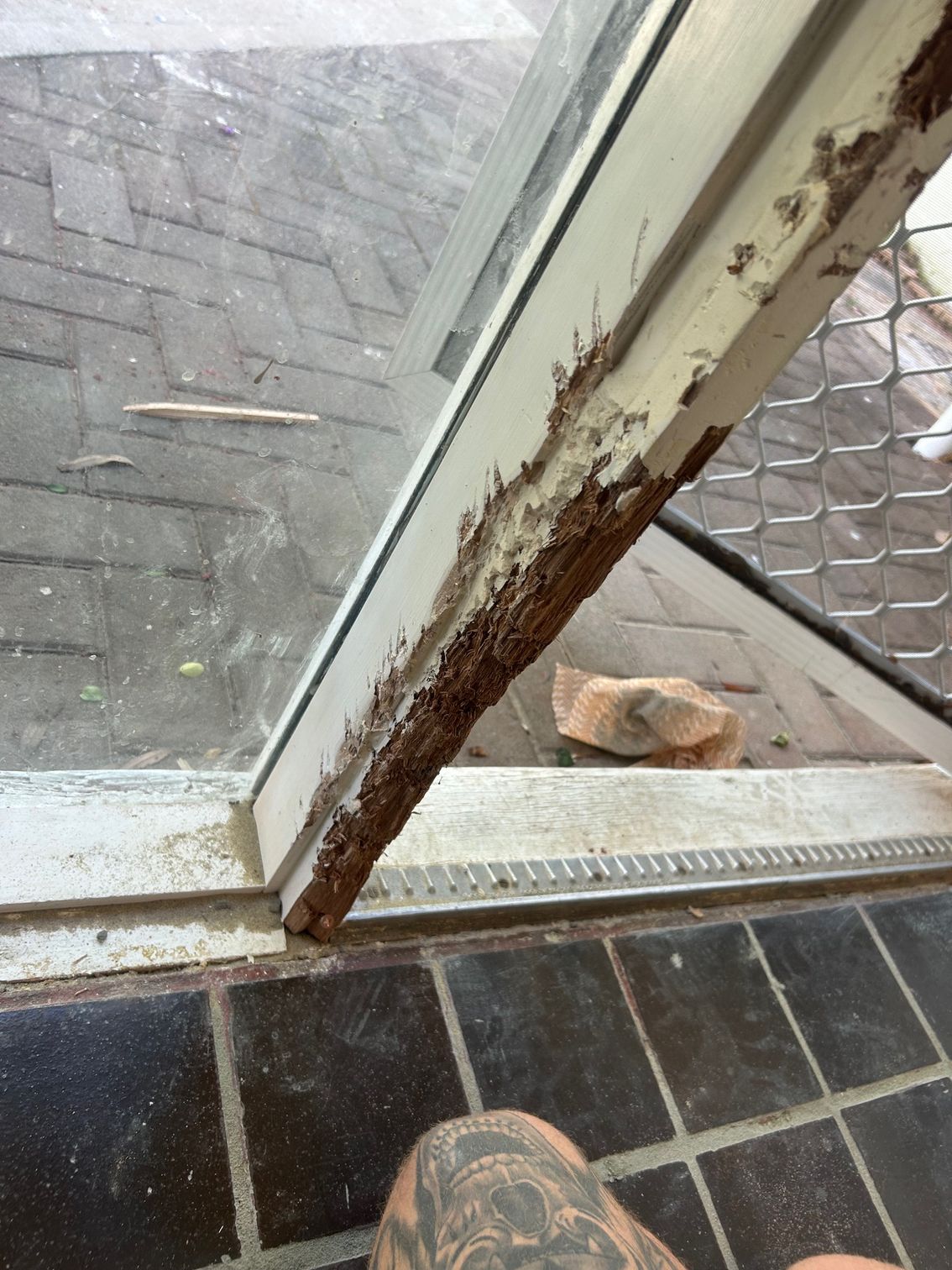 Corroded metal frame of a glass door. Rust and decay visible. Tiles and brick pavers in the background.