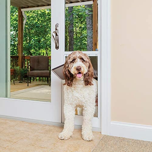 A dog is standing in front of a sliding glass door.