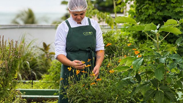 Grupo de pessoas posando em frente a um prédio moderno com janelas de vidro e um jardim paisagístico.