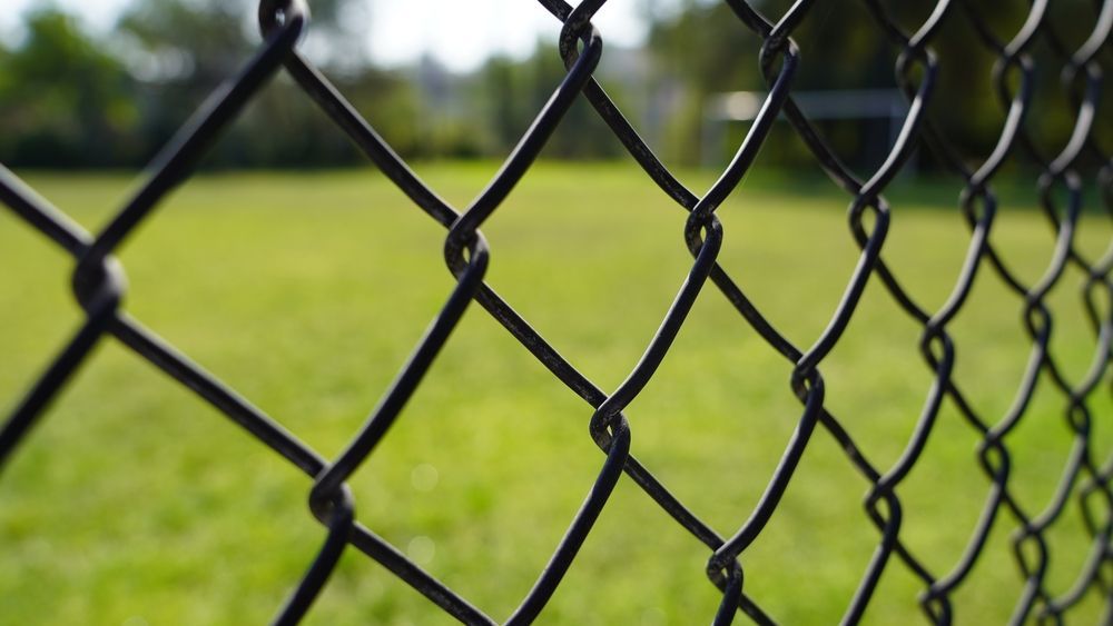 Black chain-link fence in foreground, green grass and trees blurred in the background. — Strike Fencing & Gates In Tuggerah, NSW