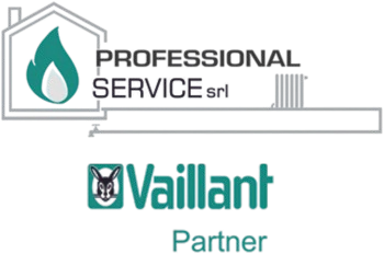 Logo Professional Service