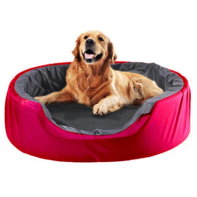 Golden retriever acostado en una cama para perros roja con interior gris.