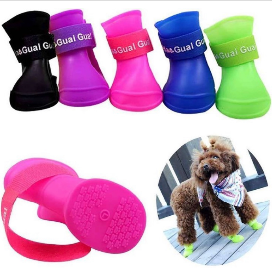Botas de perro de color rosa con banda gris, golden retriever sonríe en el fondo.