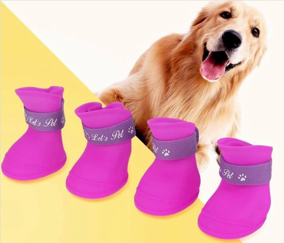 Botas de perro de color rosa con banda gris, golden retriever sonríe en el fondo.
