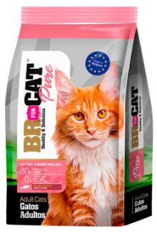 Bolsa de alimento puro para gatos BR CAT con un gato pelirrojo en el frente.
