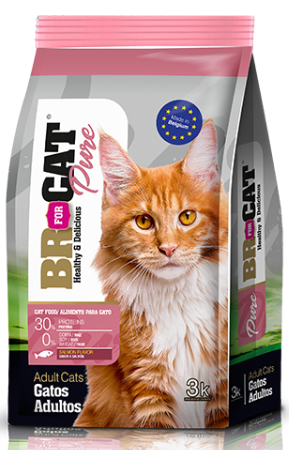 Bolsa de alimento puro para gatos BR CAT con un gato pelirrojo en el frente.