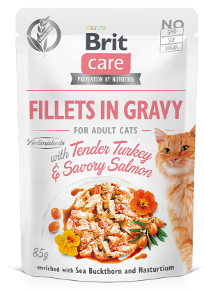 Bolsa de comida para gatos Brit Care con filetes de pavo y salmón; en la foto aparece un gato.