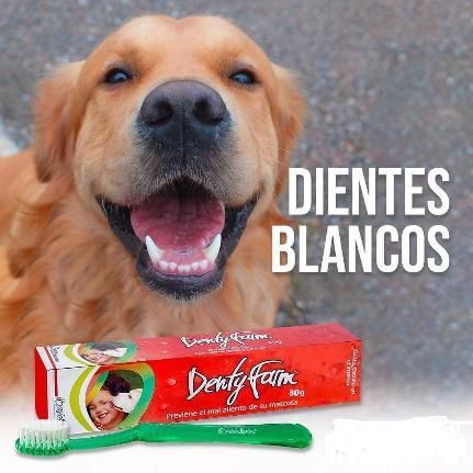 dentyfarm