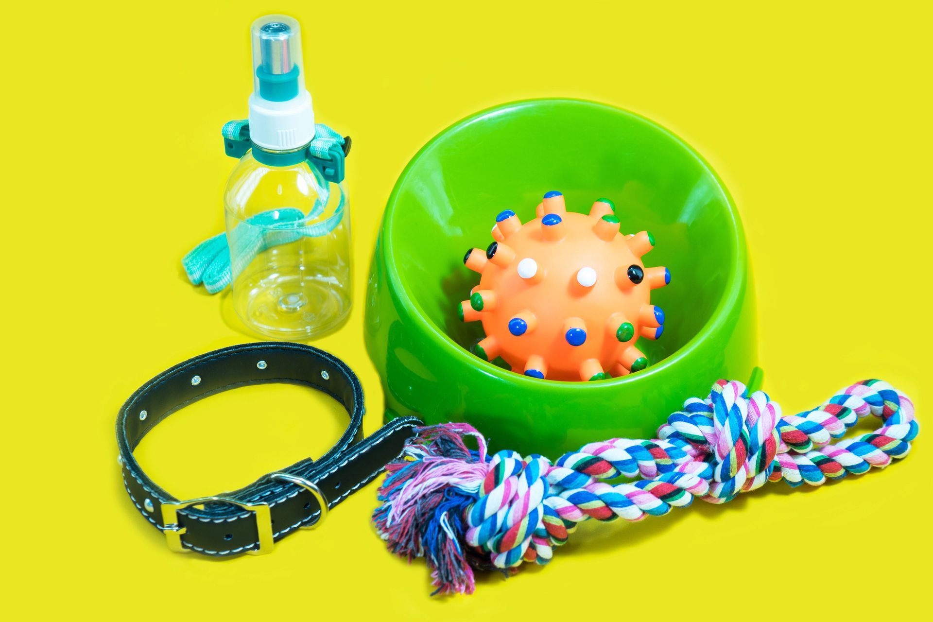 accesorios de perro