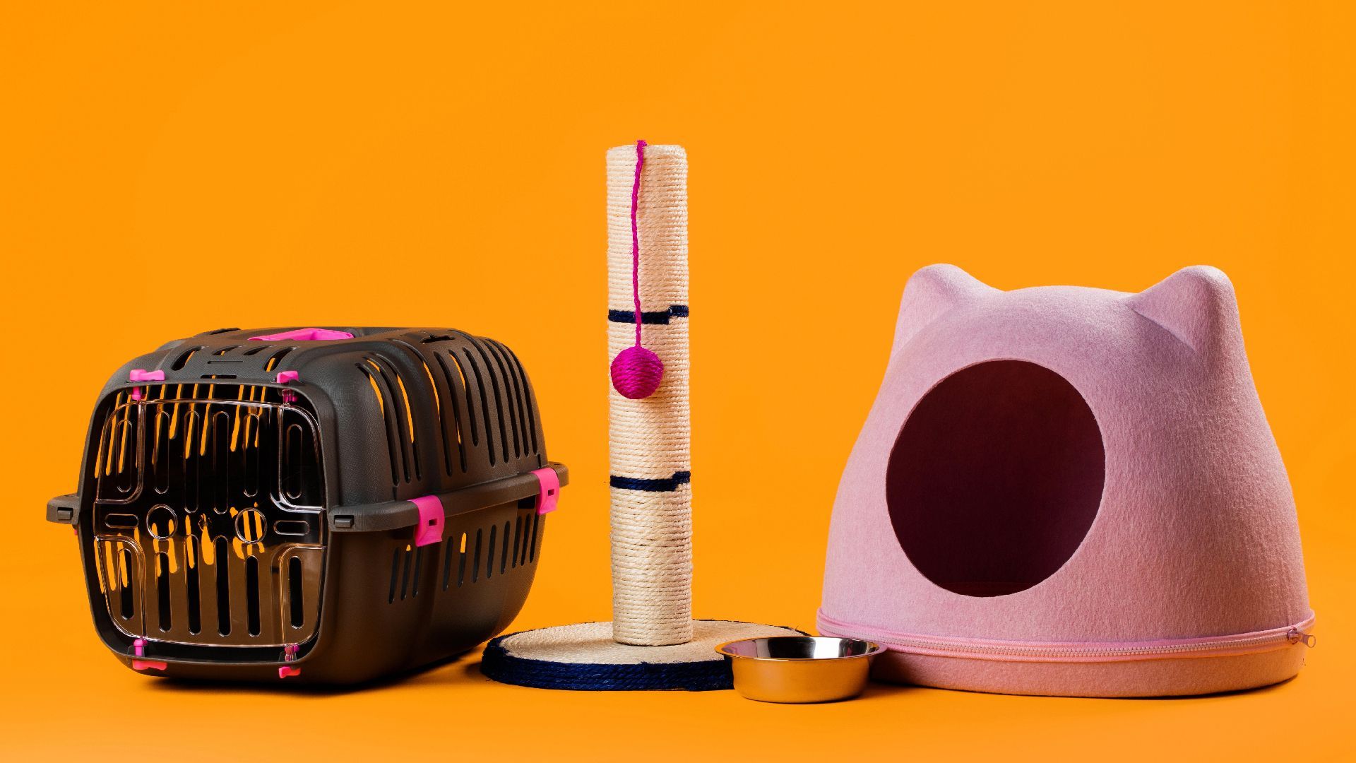 accesorios de gato