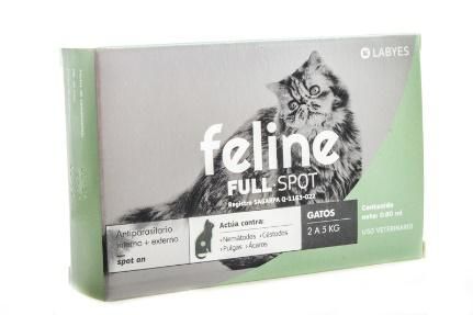 Feline 2