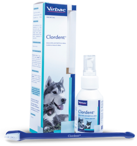 Kit de cuidado dental Clordent para mascotas: botella con atomizador.