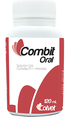 Frasco de medicamento líquido “Combit Oral”, etiqueta roja y blanca, 120 mL.