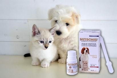 metronid