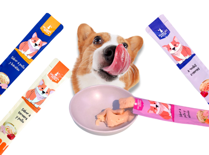 Corgi con la lengua afuera, mirando un plato de comida. Rodeado de tubos de premios rosas, azules y naranjas.