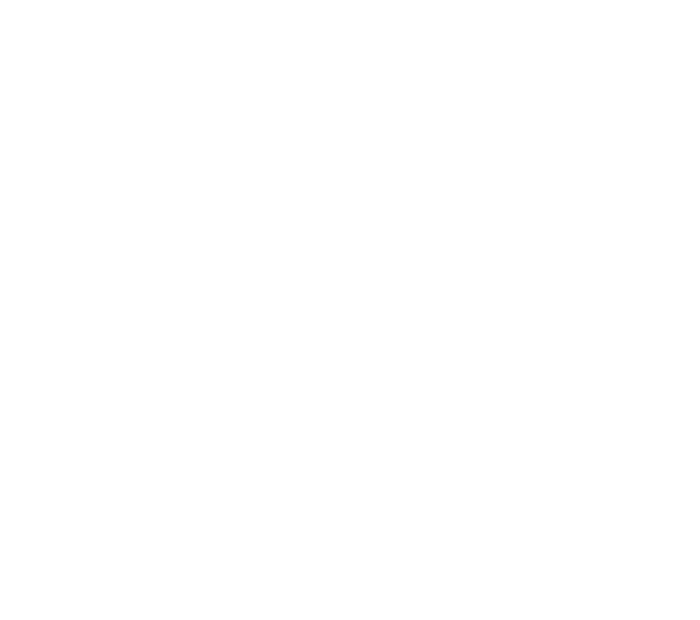 logo-image