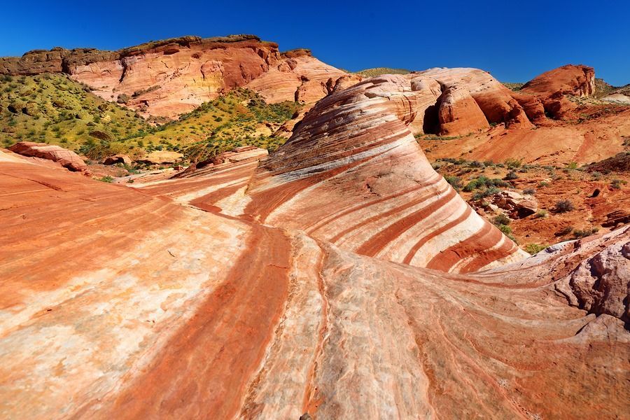 There are many different types of rocks in the desert.