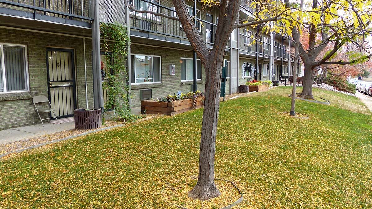Apartment building exterior with balconies, trees, and a grassy lawn covered in fallen autumn leaves