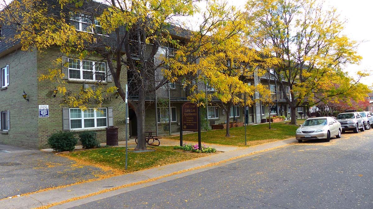Tree-lined residential street with parked cars beside an apartment building in autumn