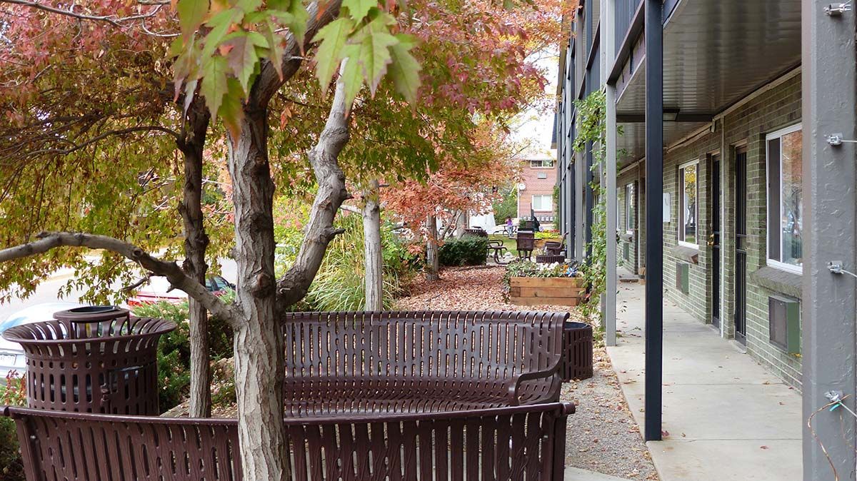 Leafy courtyard with wooden benches, a tree with orange-red leaves, and a building walkway on the right