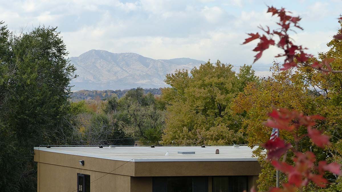 Distant mountains behind trees and a tan building, with red leaves in the foreground and cloudy sky.