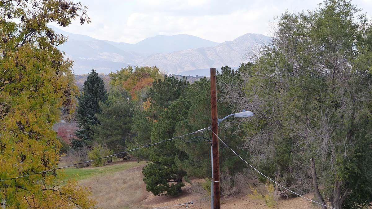Rural hillside path with trees and a utility pole, mountains in the hazy background.