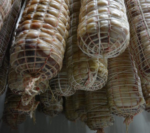 Coppa