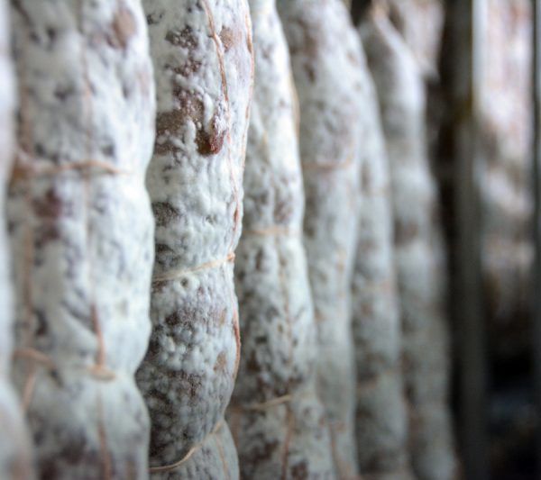 Salame
