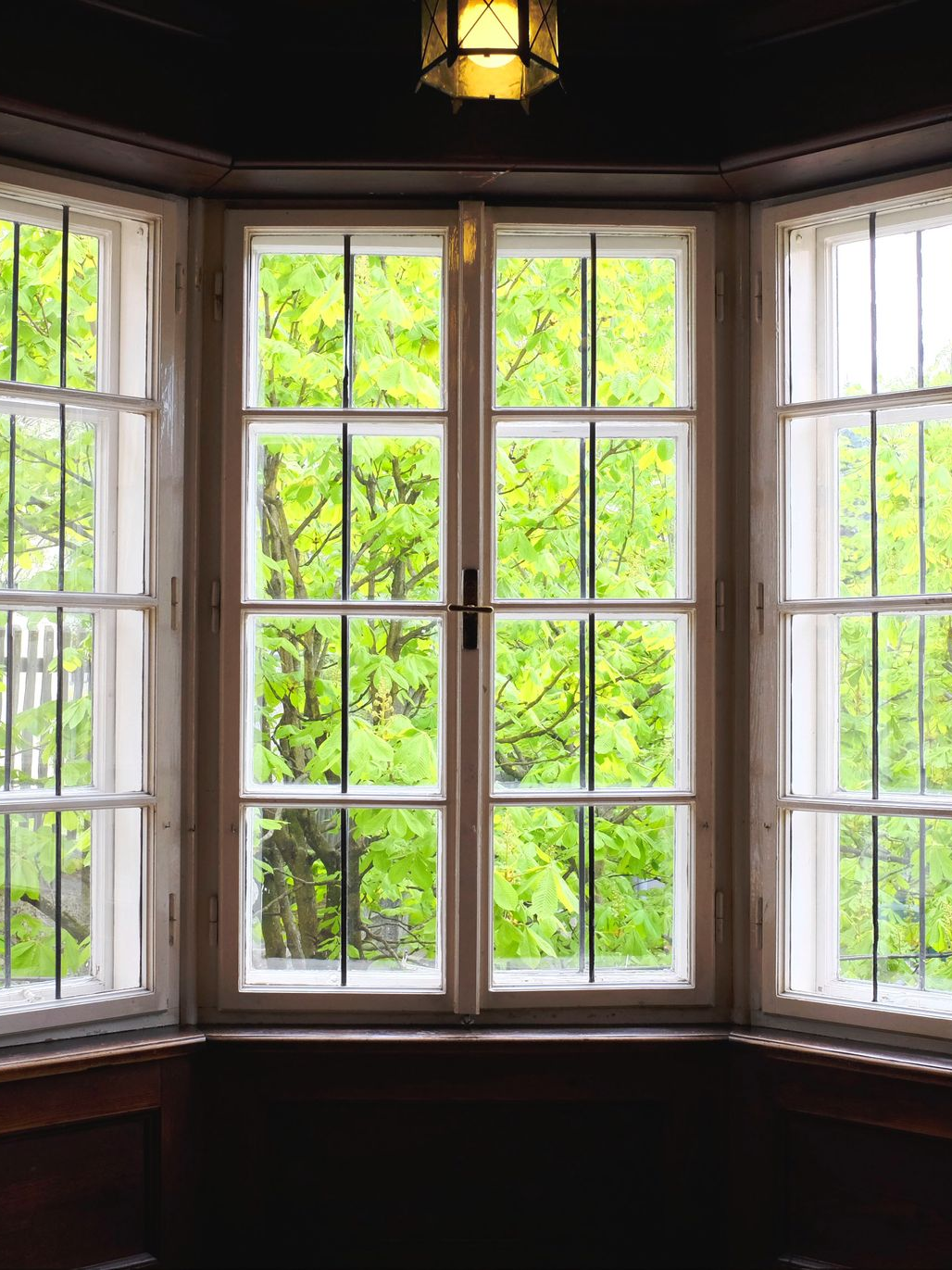 Curved bay window with white trim, dark wood sill, and green leaves visible outside