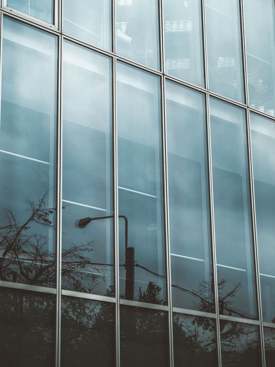 Glass office building facade with reflective blue-tinted windows and bare tree reflections