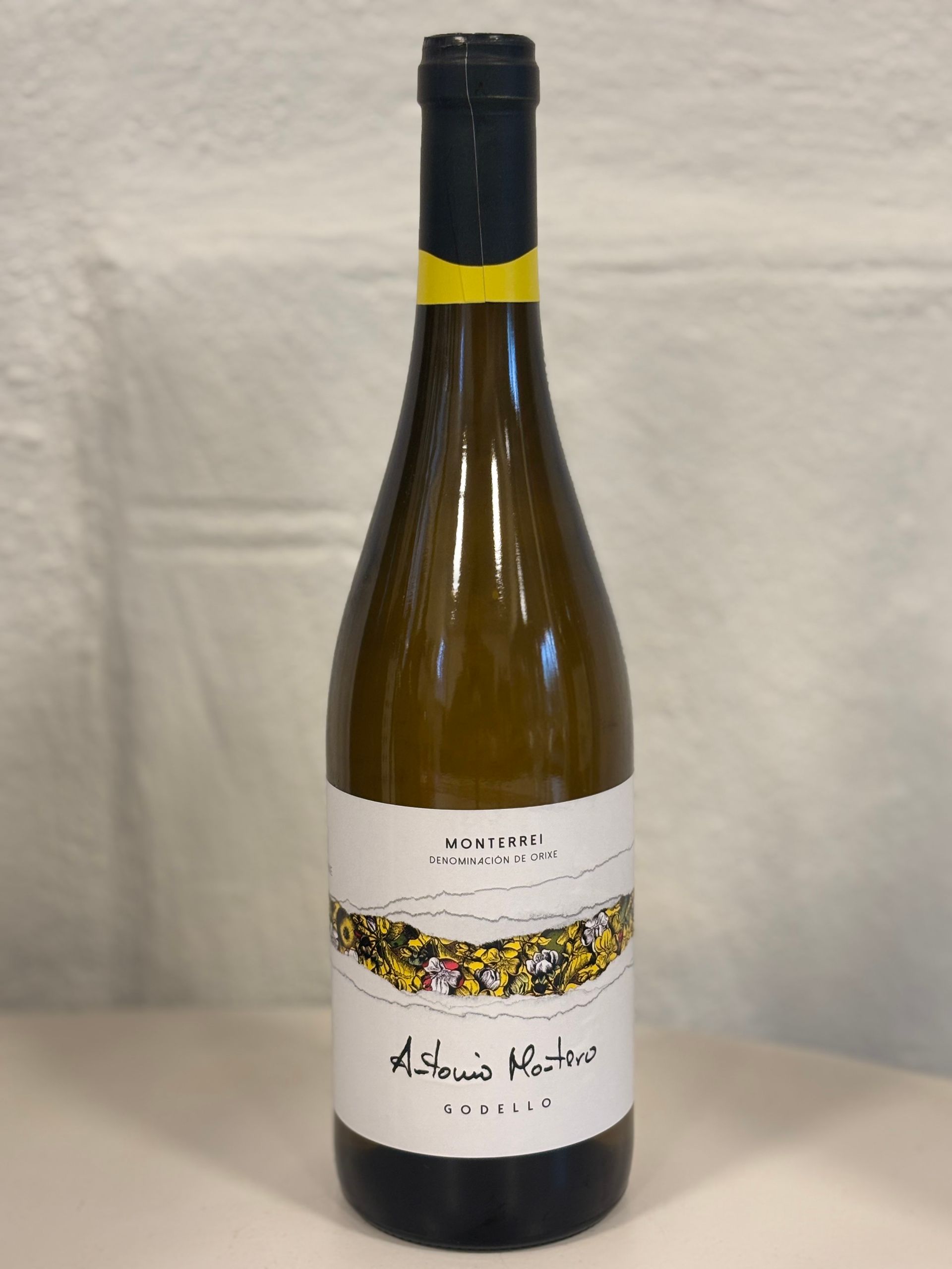 Antonio Montero Godello- Galicië Spanje