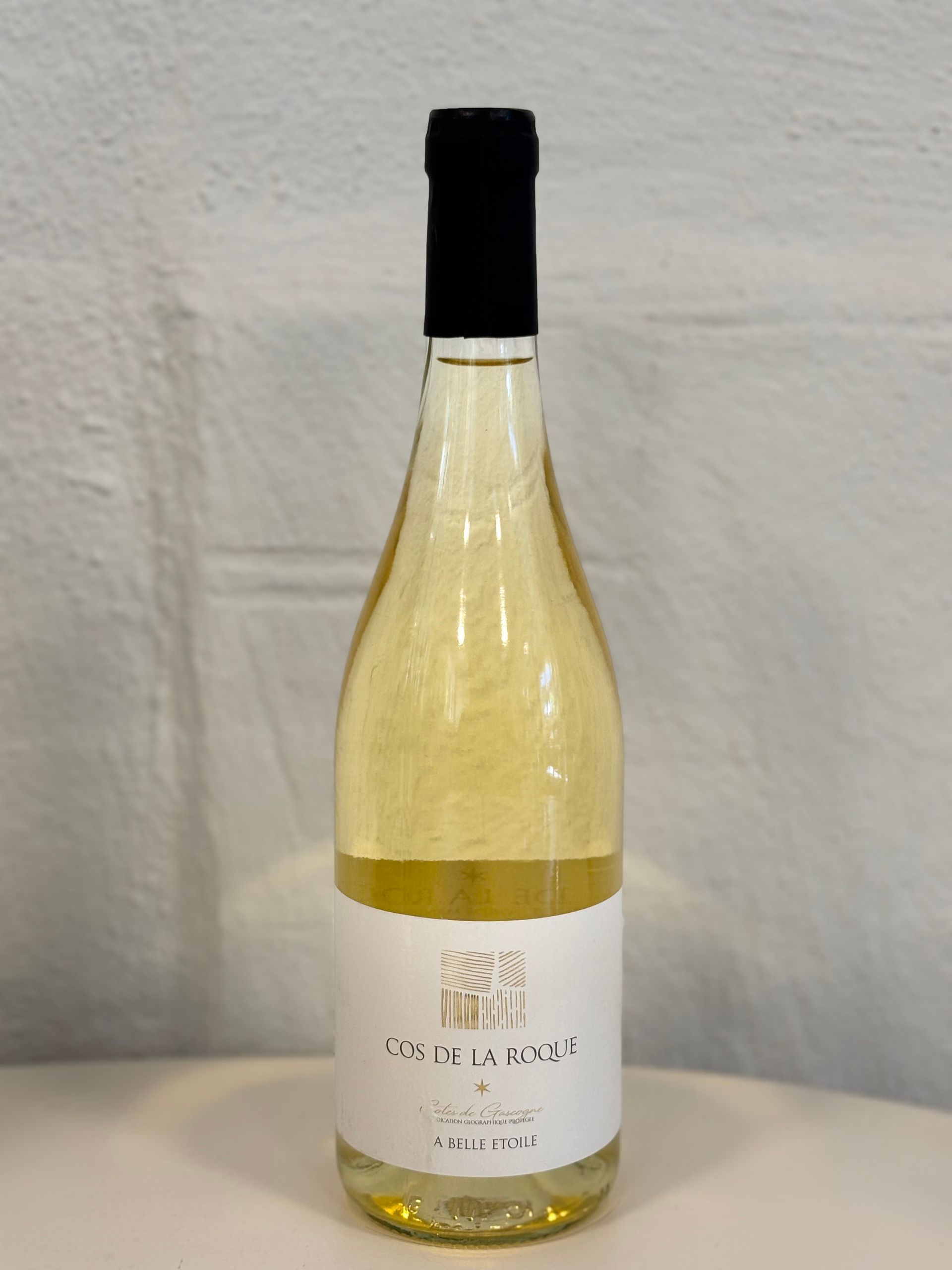 Domaine Saint-Lannes Côtes de Gascogne