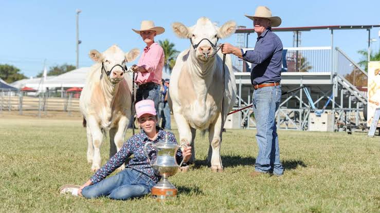 A girl sitting with a trophy in the grass next to two cows and two men.
