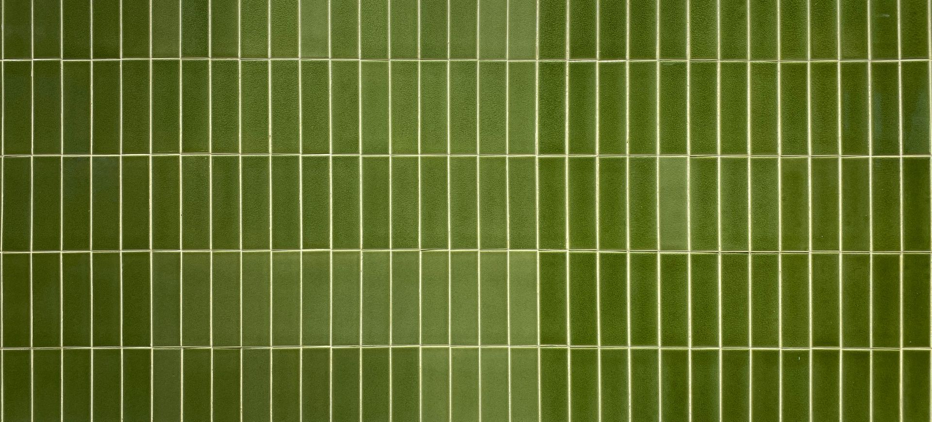 Aerial view of green agricultural fields divided into neat rectangular rows and strips.