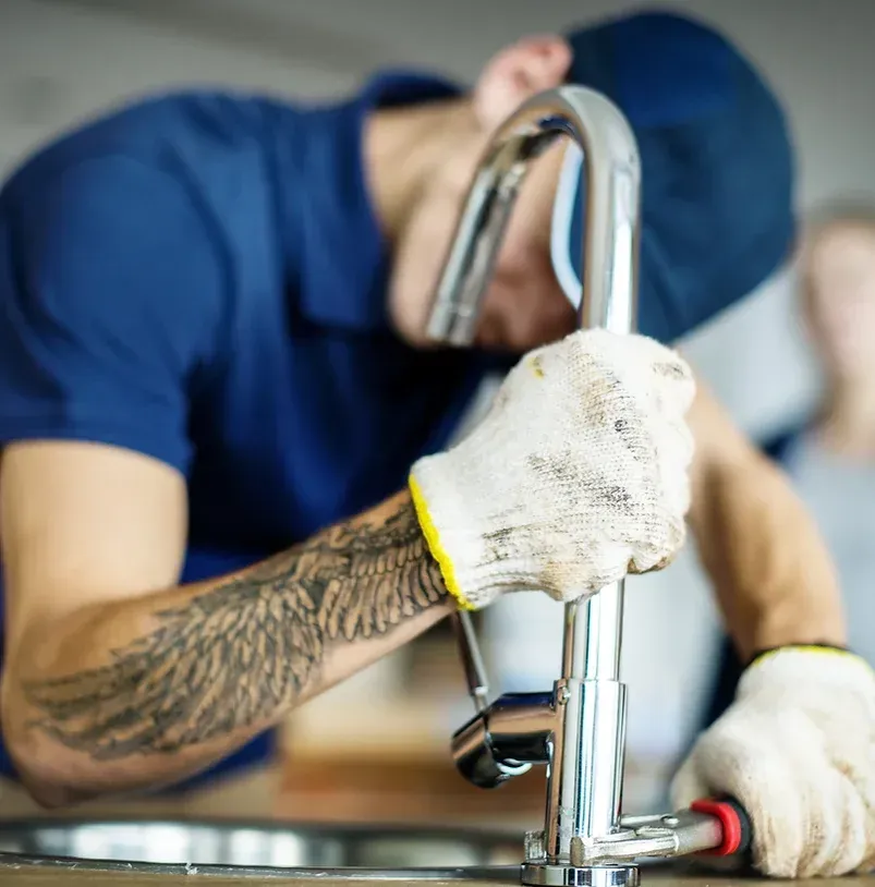 Plumbers, Plumber